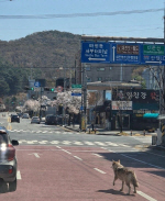 ���� ������ Ż���� ���� ���� �ܺη� ��������ó ��Ÿ��� ���