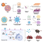 ��ȭ�� �÷� ����߸��� Ȳ�ݺ��� ���� ���� ������ ���� ��� ����