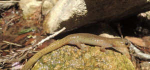 [�� �� ����] �����걹������ ����� �������������մ������µ��ڲ� ����