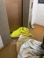 �ѹ��� 12�� ����Ʈ�� ������ �ֹ� 30���� ����