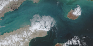 �̶� �������Ⱓ �󼱿� ȣ������ ���� ��롱��ڸ �ػ� ���� ������