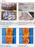 ���ǰ��, �����ҡ��������� ������ ���̴� ���� �볳 ���� �͡�