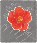 [��û����] �� �̸���