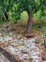 [����Į��] ���� �� �ż��� ���� �˰���, ���