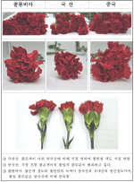 ���ǰ��, �� ���� �þ�� 5���� ������ ���̴� ���� ���� �ܼ�