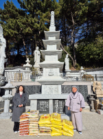 �Ŷ�� ��Ź��� ���������κ�����, �ں�� ������ �������� ��� �Ļ�Ȱ ����