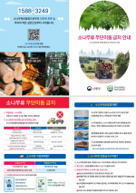 ���屺, �ҳ����� �����̵� ���ߴܼ� ����