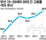 �λ� û�� ����� ���ȭ��15~29�� 44.9%, 30�� 80.9%(����)