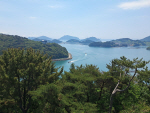 [�ùα���]Ȯ Ʈ�� ���� ��桦 �뿵 �̸����� ������ ���
