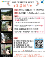 �λ��������Ǽ� ����2�� �ǰ���Ȱ�������� �����ݳ��ơ� �ǰ� �ȱ� ç���� �
