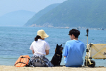 �泲���� 26�� �ؼ����� 4�Ϻ��� ���ʷ� ����, �Ǽ��� �´´�