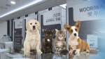 �츮���� ��Ǫ��, ��ٷο� ĳ���� �˿� ���� �վ���