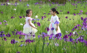 �泲 ��â��- ���� ��, ���� �����ɿ� ��ȭ�����������Ϻ��� �� ���� ��� ��