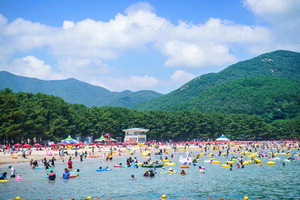 �泲 ���ر�- �������𷡡������ֹٶ����̸��� �� ������ �غ��� ����