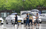 �λ� ��� �泲 �帮�� ���� �񡦿�� 33�� ������