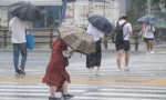 �ÿ��� �帶 ���� ���ᡦ�帶 �Ⱓ ���� ����