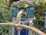 [�ùα���] �콼 ���� ��ü�, �Ź��� ����