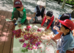 �λ�ü�����, �λ�ùΰ��� �Ϲݱ���͡����� �� ���� ü�� ���α׷���� �ٽ� �� ����