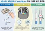 �Ϸ� �ɸ��� ��긮���� �˻�, 1�ð� ���� �����Ѵ�