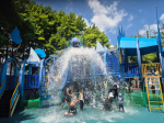 �λ� �ϱ�, ����ö ���� �� ���� �������� ��Ȳ�� ������