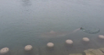 �λ� ���� ģ������ ���μ� 3�� �Ѵ� ��� �߰ߡ��ذ� ��������