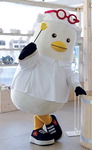 [�� �� ����] ����쳪 ���� �α⡯ ����, �˾������� ������ ����