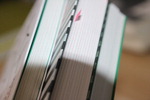 [�ùα���] ������ ���������� �ٶ󺸴� ������ �� ��������
