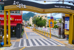 �λ� ������, ����깮�зΡ� �������θ� 5�� ����